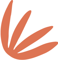background shape